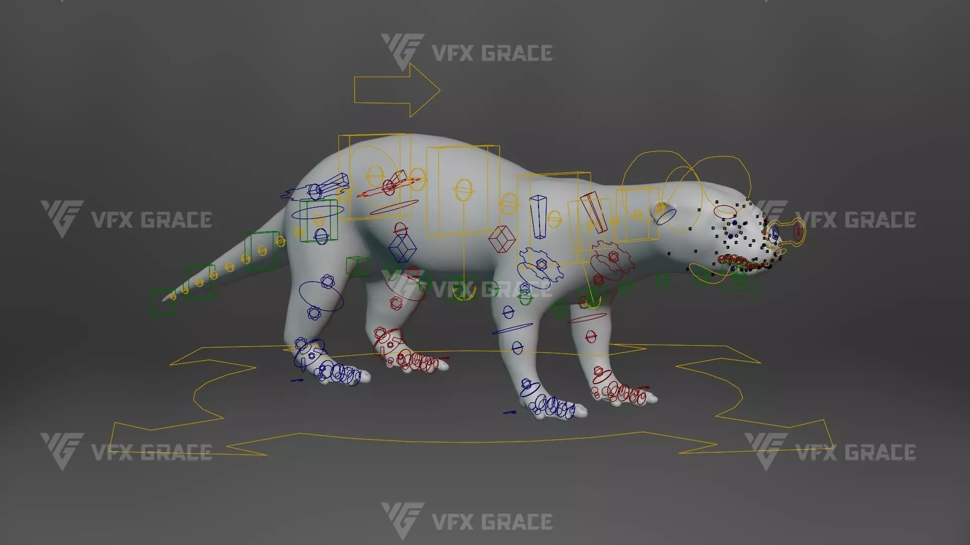 Lutra Animation Blender 3D Model 3D model_13