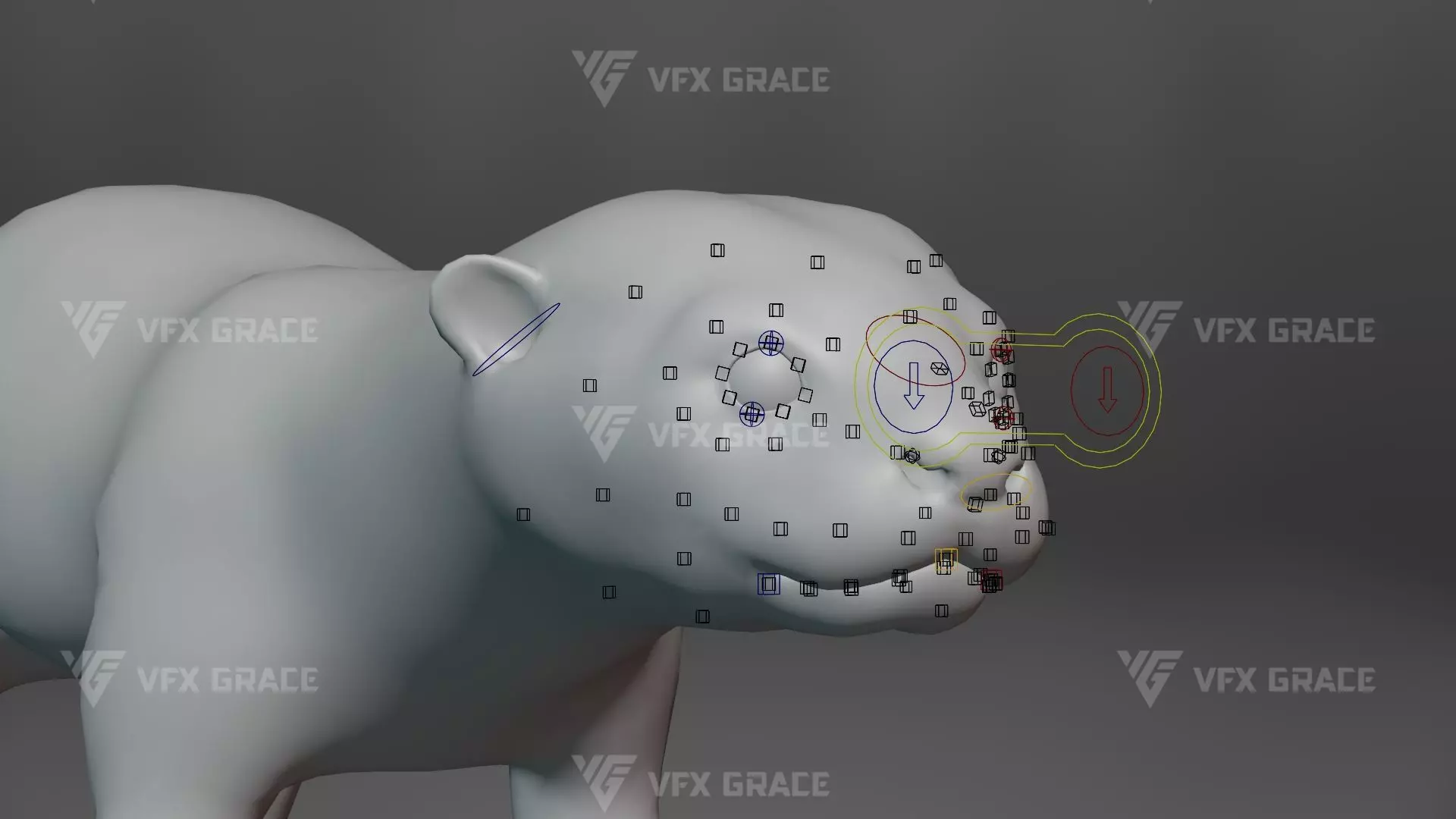 Lutra Animation Blender 3D Model 3D model_14