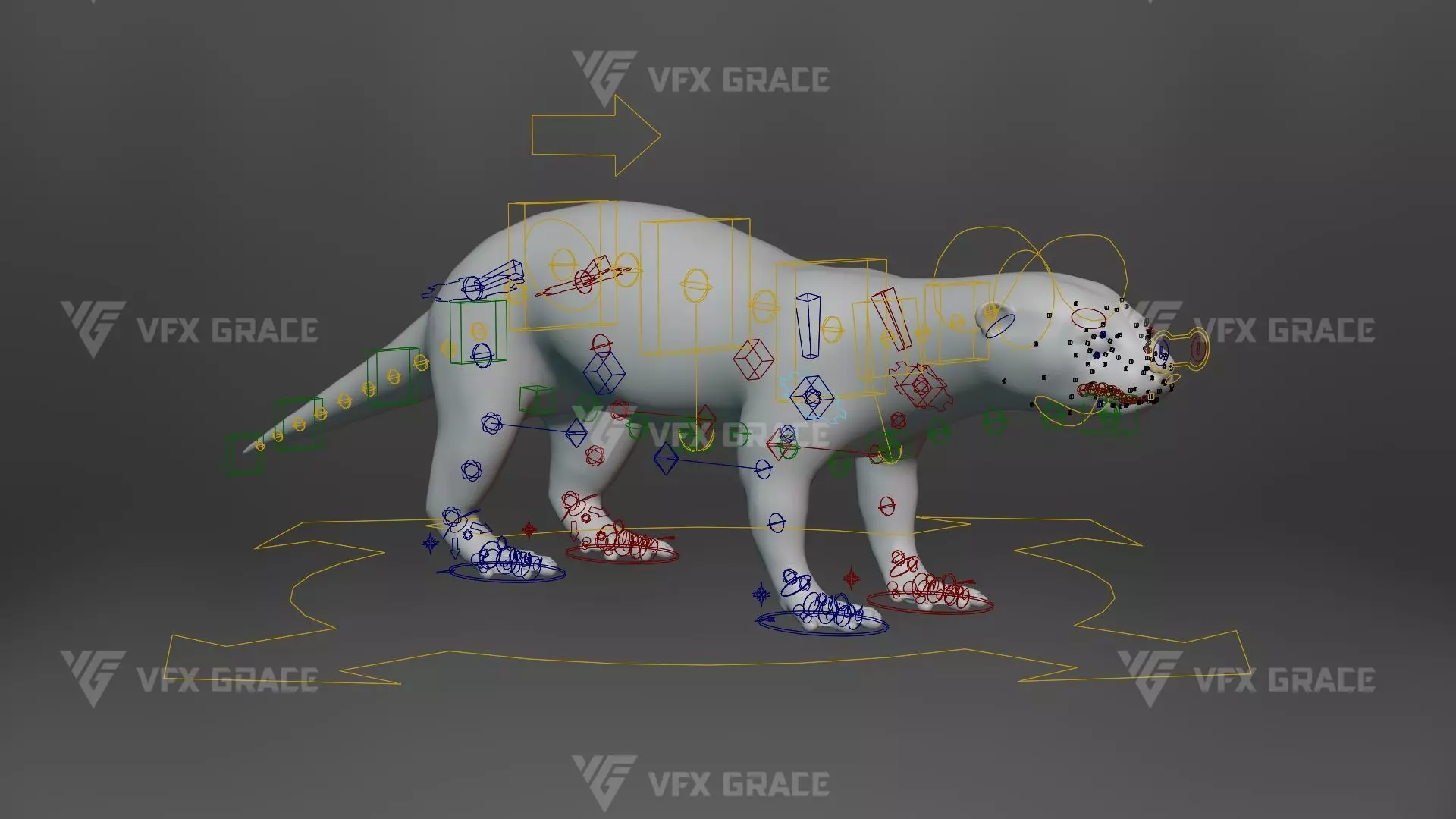 Lutra Animation Blender 3D Model 3D model_12