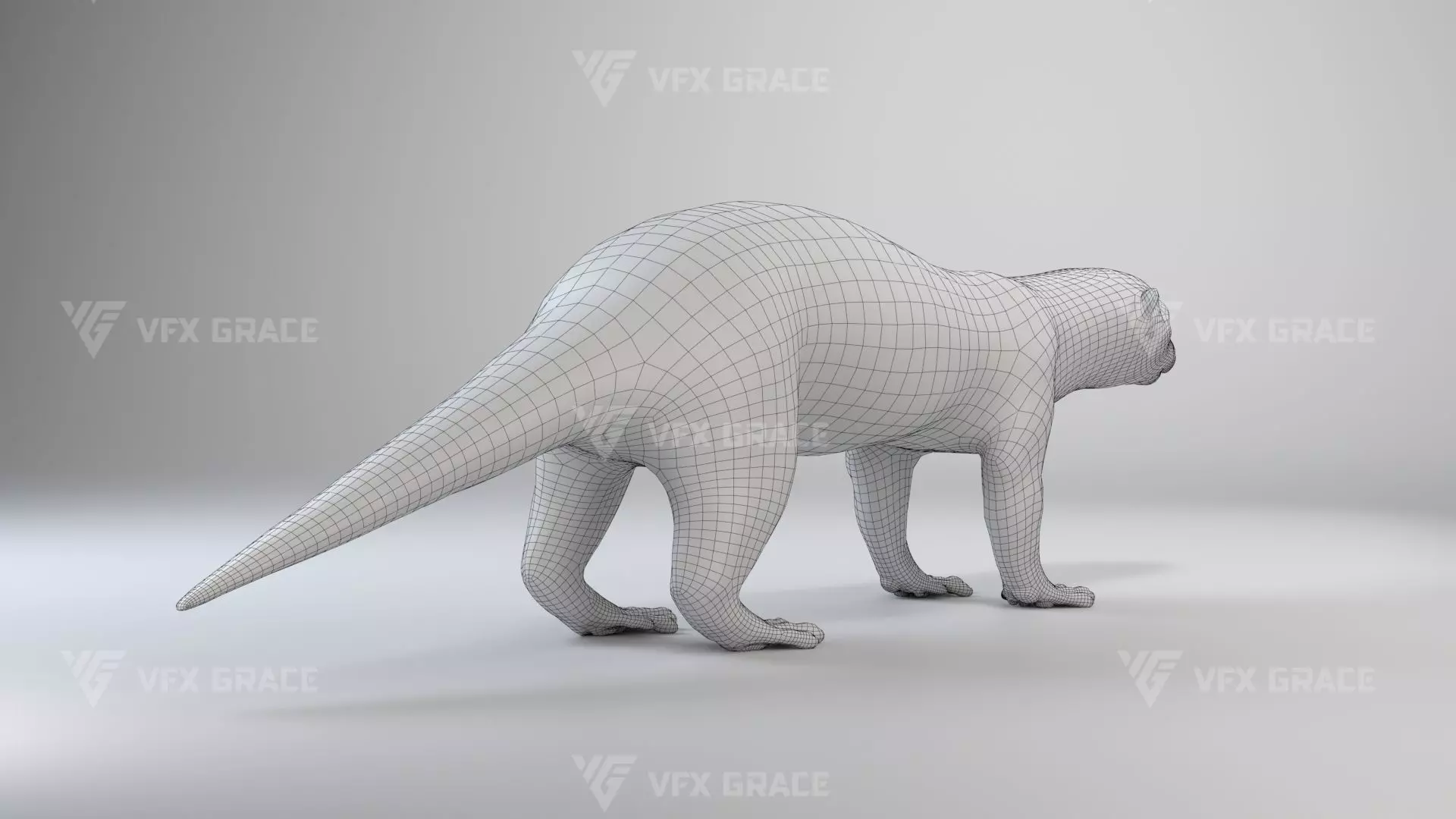 Lutra Animation Blender 3D Model 3D model_21