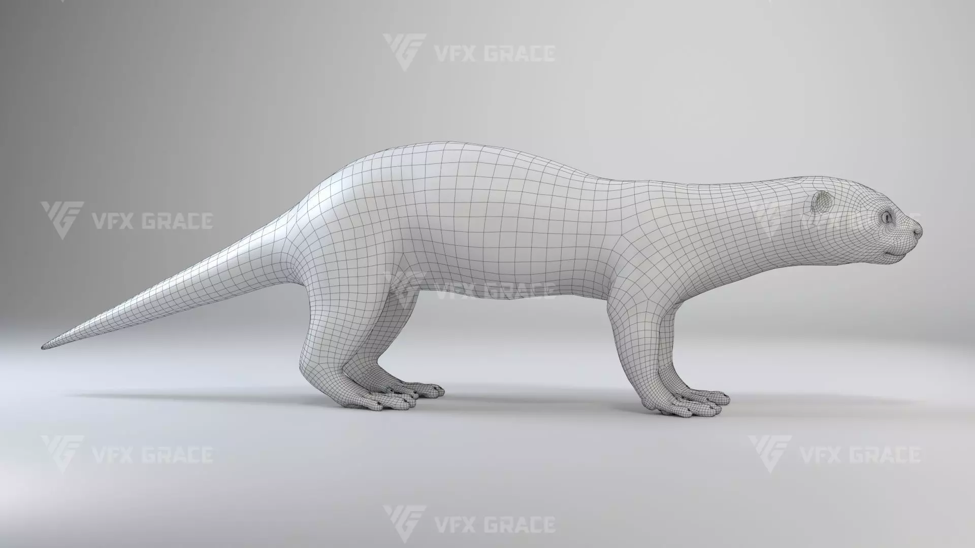 Lutra Animation Blender 3D Model 3D model_20