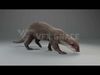 Lutra Animation  Blender 3D Model 3D model_2