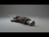 Lutra Animation  Blender 3D Model 3D model_3