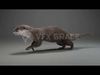 Lutra Animation  Blender 3D Model 3D model_5
