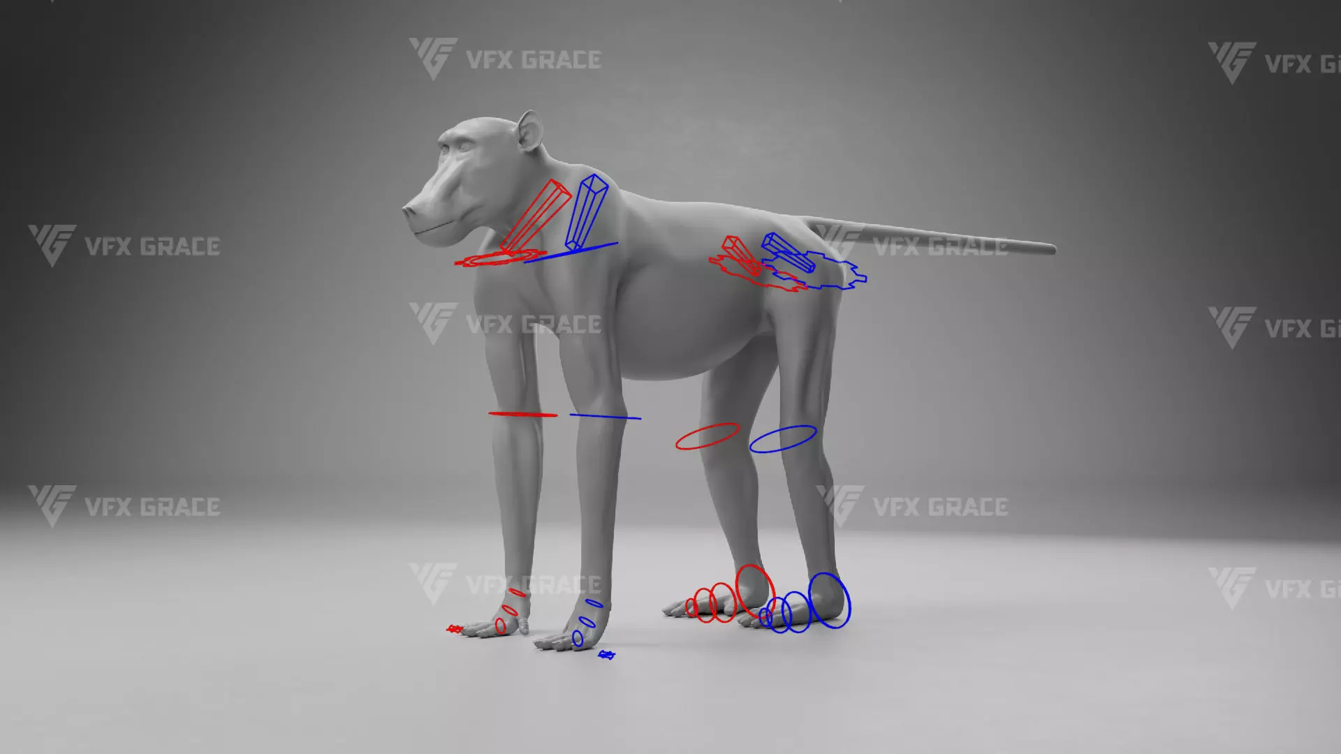 Baboon Animation  Blender 3D Model 3D model_18