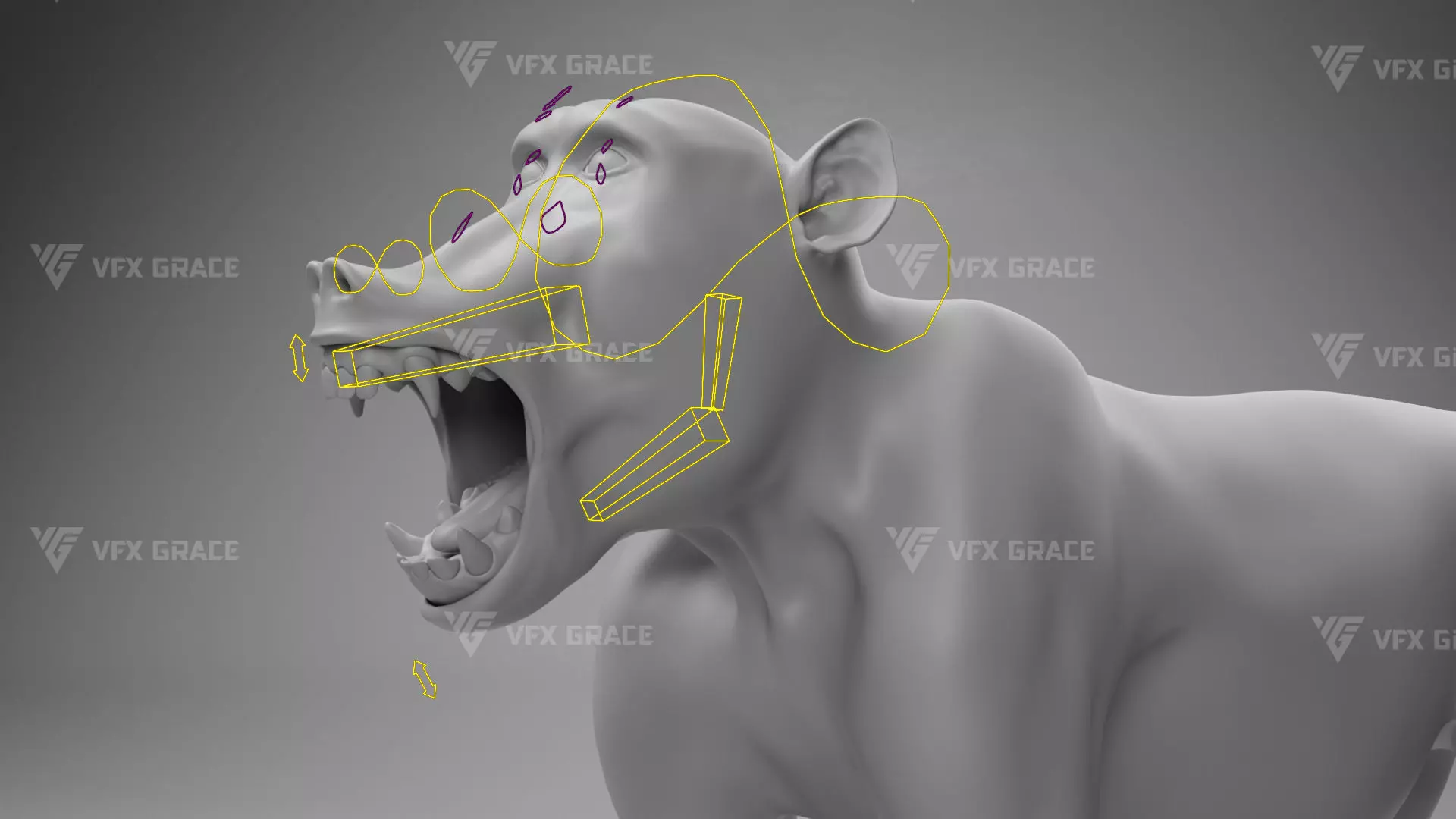 Baboon Animation  Blender 3D Model 3D model_25