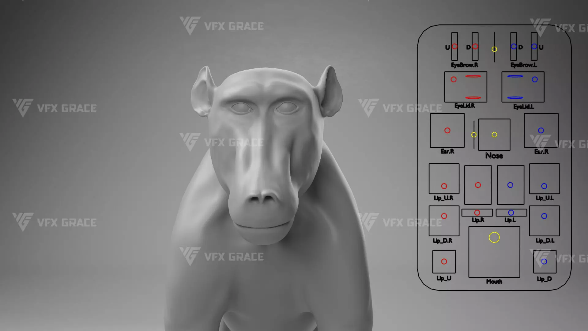 Baboon Animation  Blender 3D Model 3D model_22