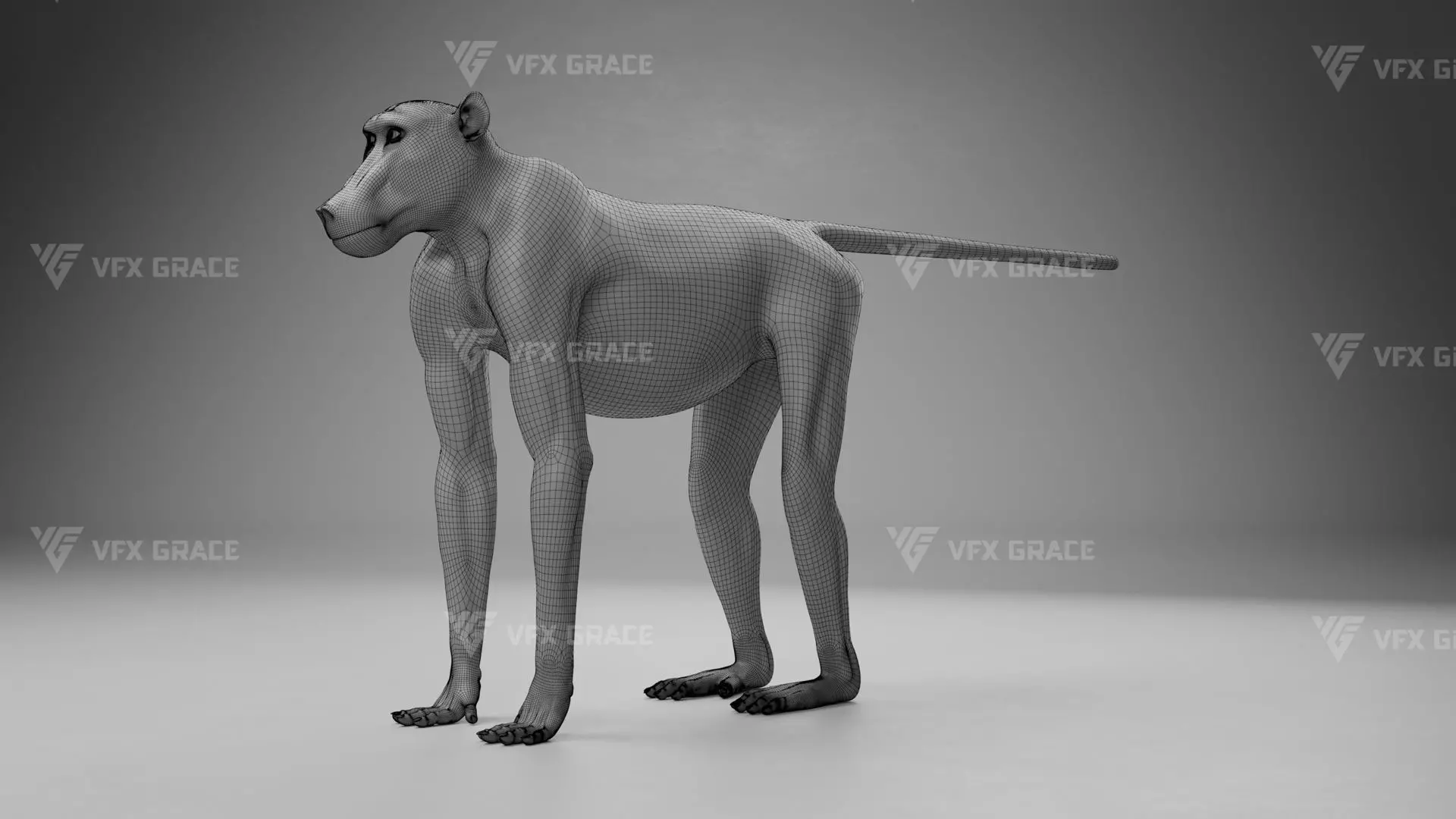 Baboon Animation  Blender 3D Model 3D model_32