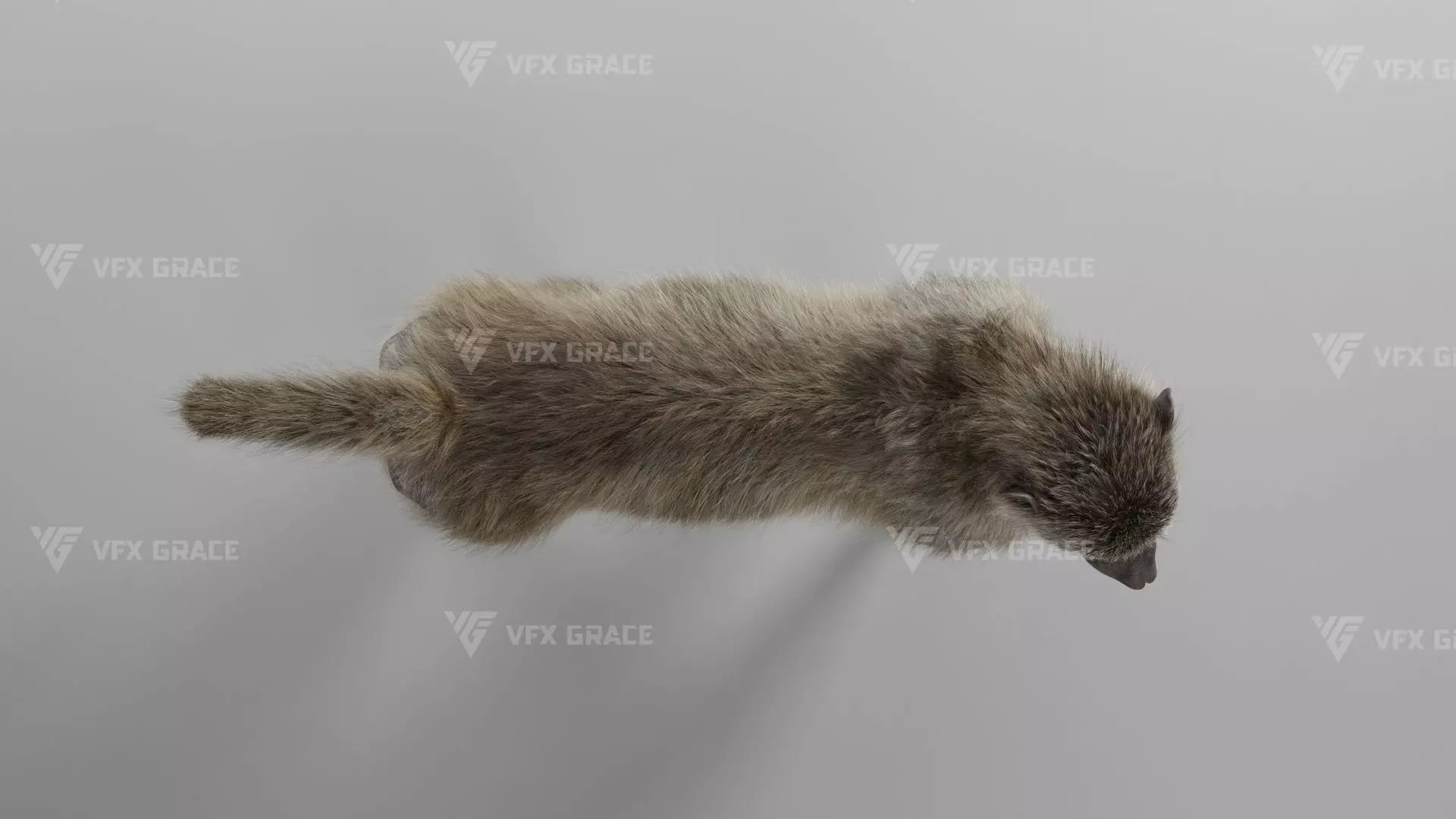 Baboon Animation  Blender 3D Model 3D model_13