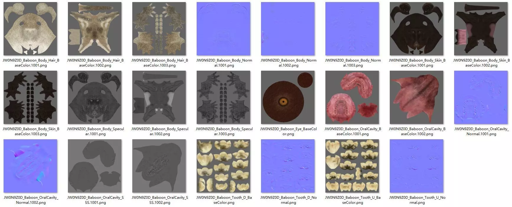 Baboon Animation  Blender 3D Model 3D model_31