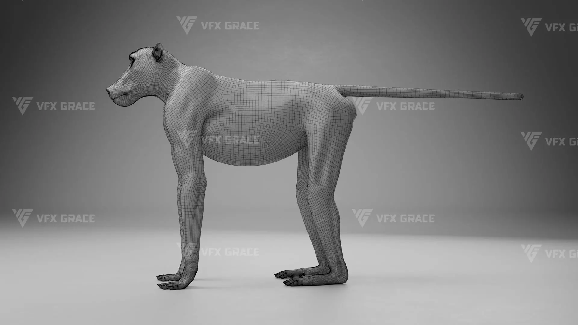 Baboon Animation  Blender 3D Model 3D model_33