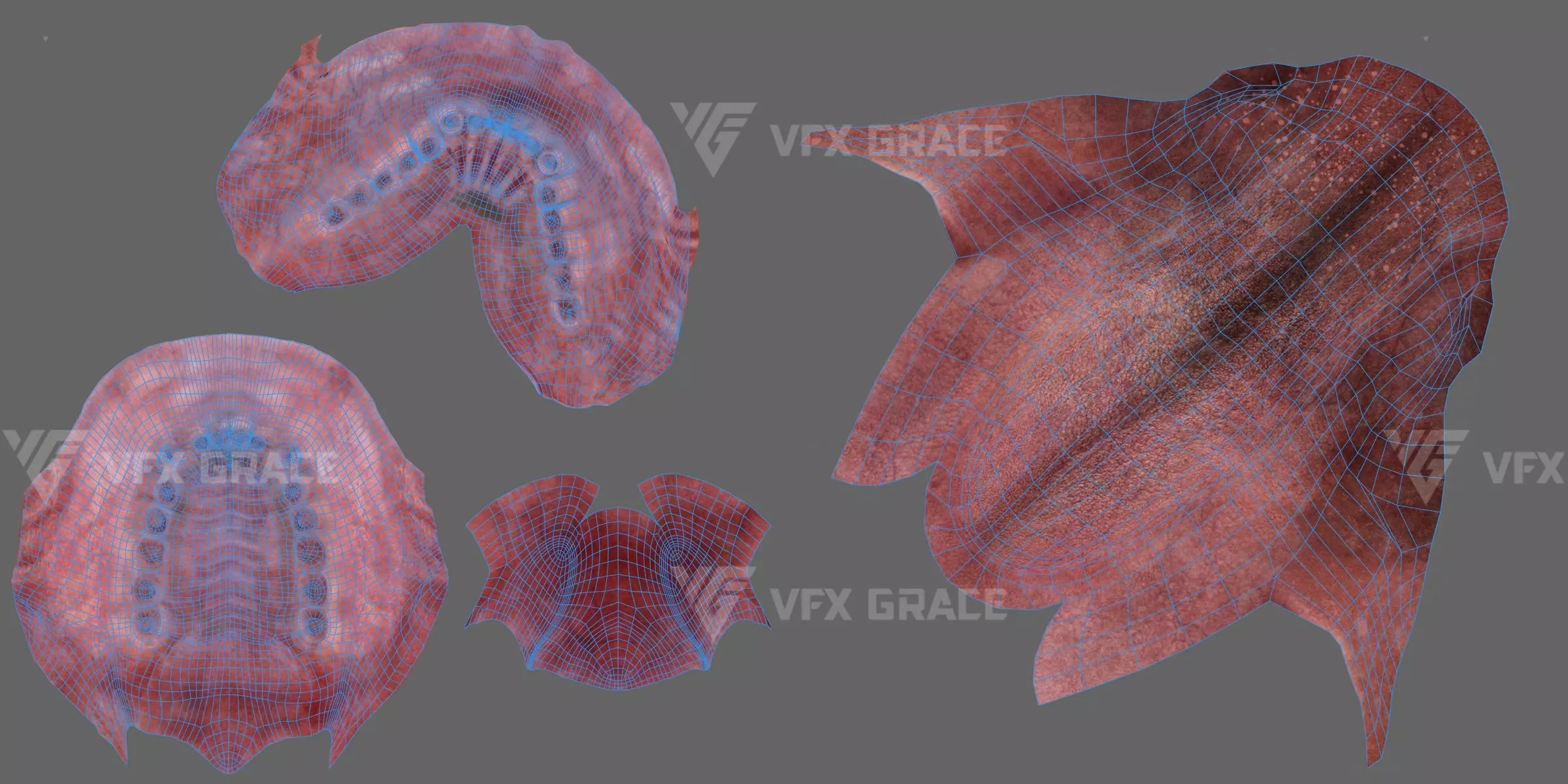 Baboon Animation  Blender 3D Model 3D model_27