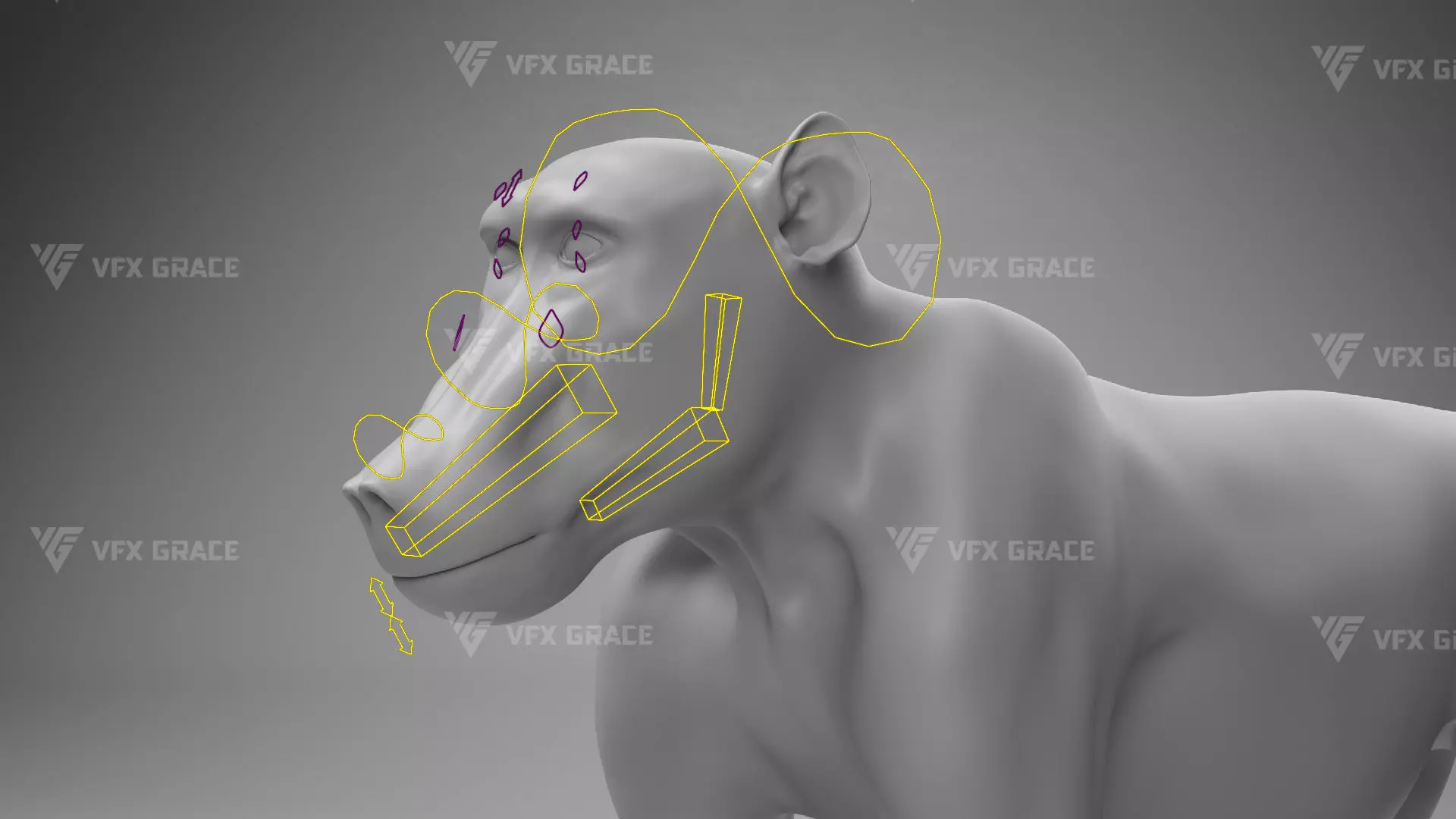 Baboon Animation  Blender 3D Model 3D model_24