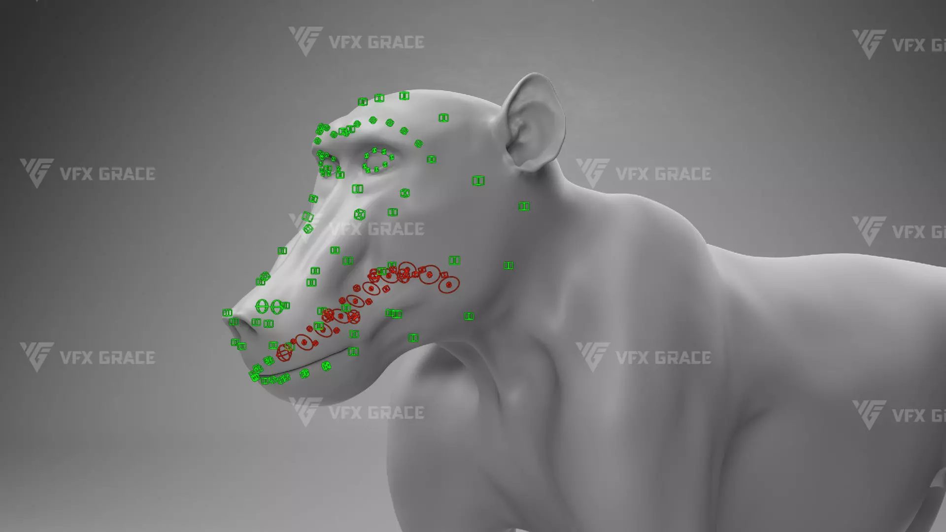 Baboon Animation  Blender 3D Model 3D model_21