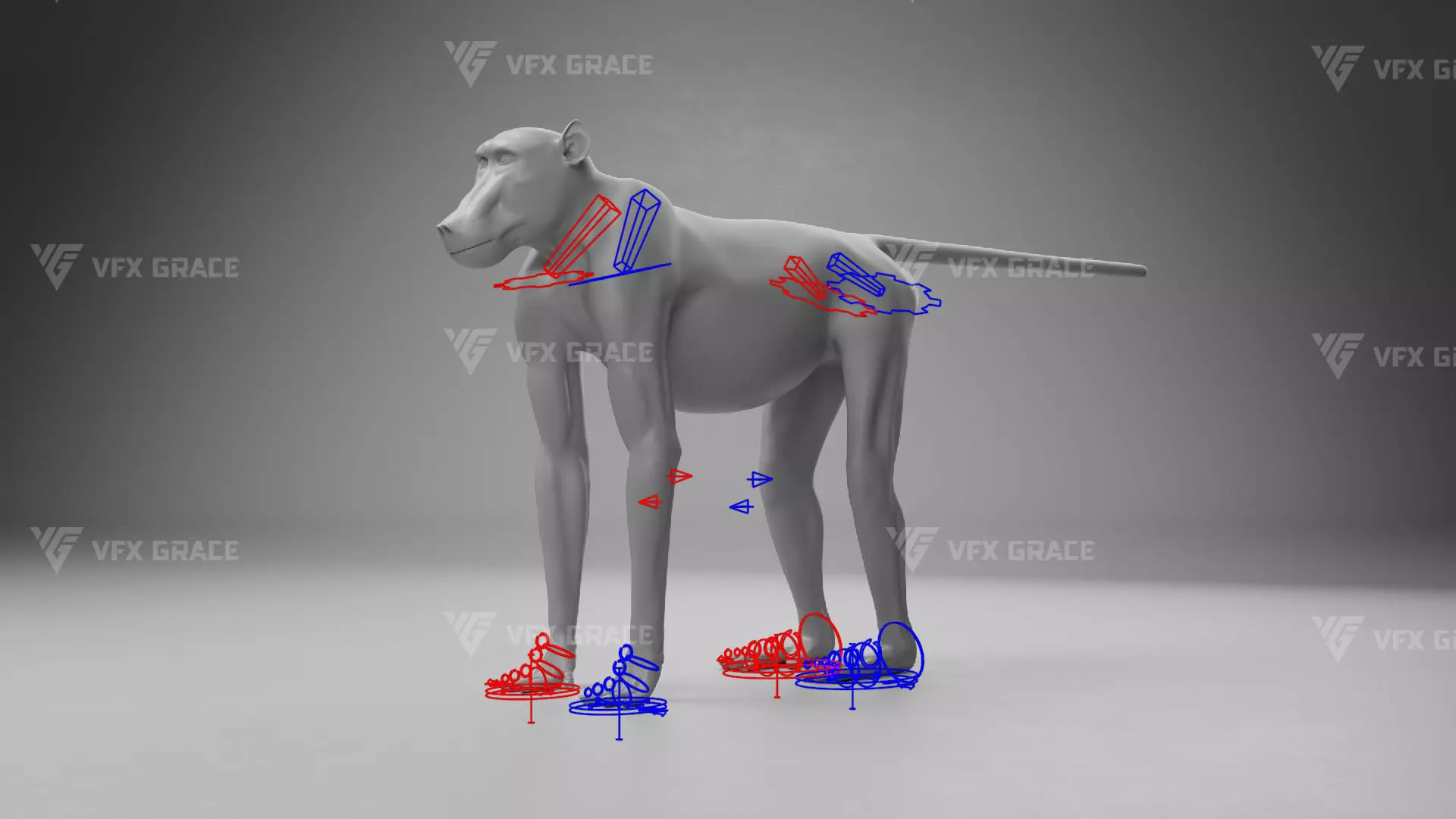 Baboon Animation  Blender 3D Model 3D model_17