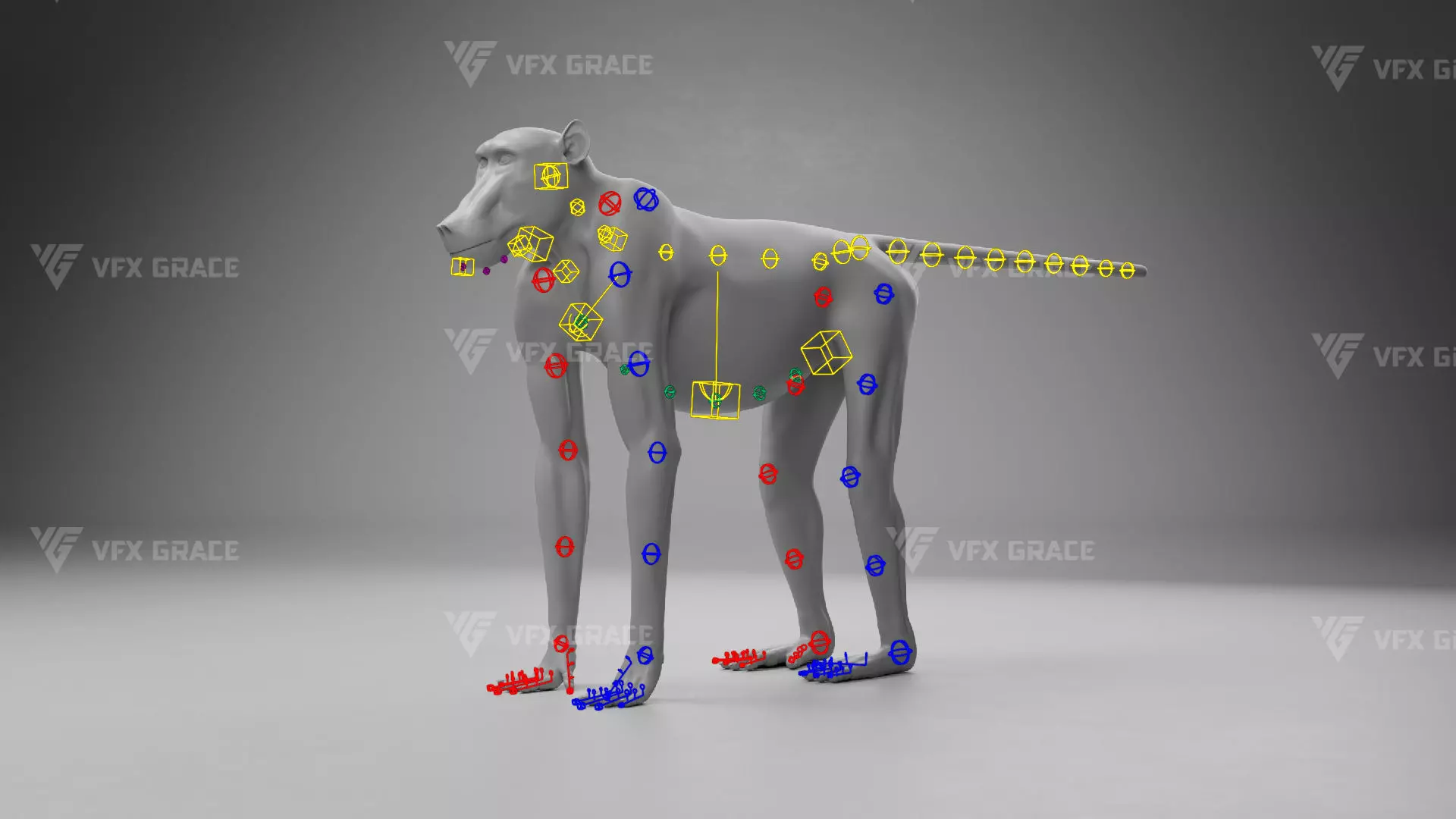 Baboon Animation  Blender 3D Model 3D model_19