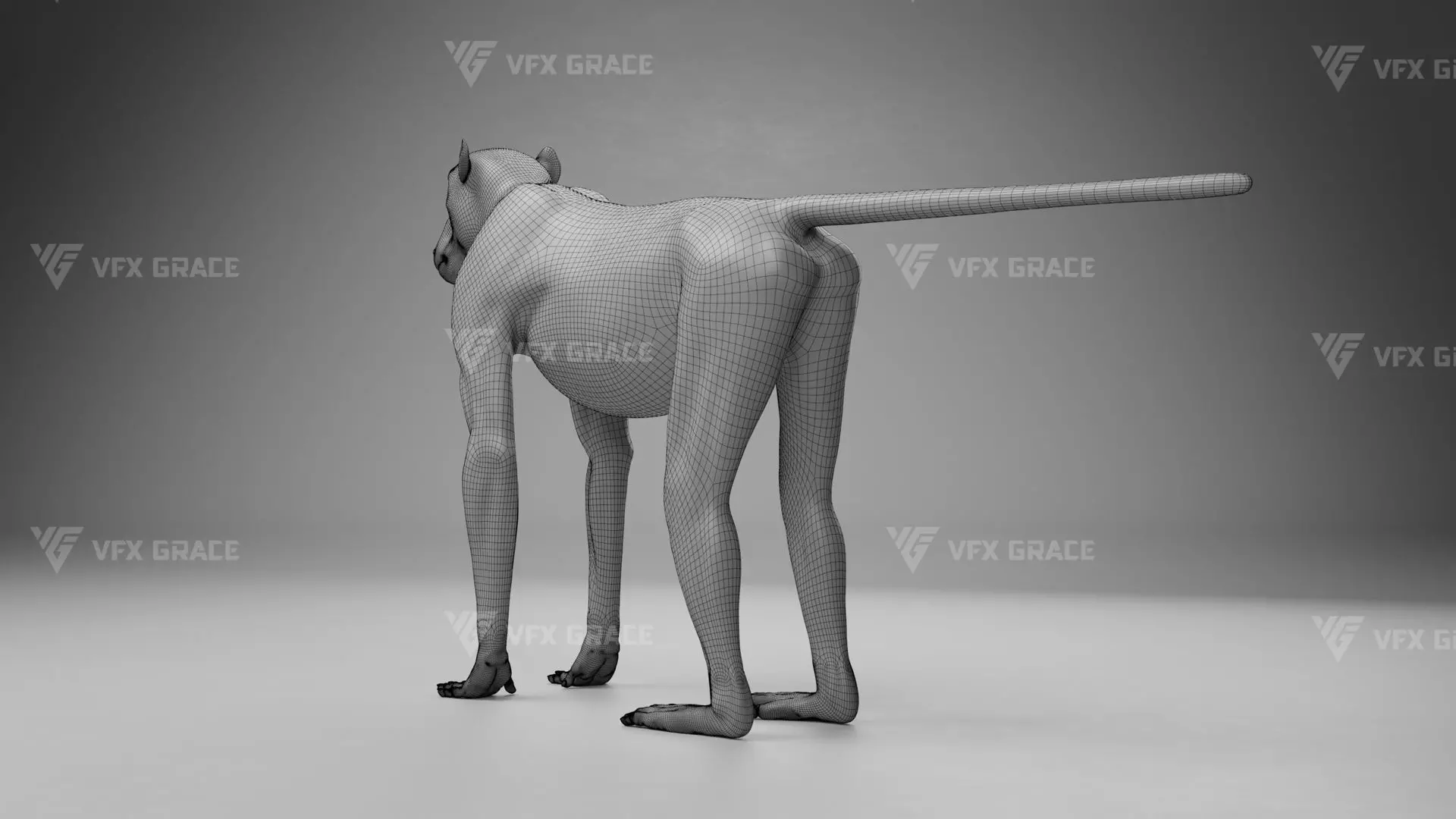 Baboon Animation  Blender 3D Model 3D model_34