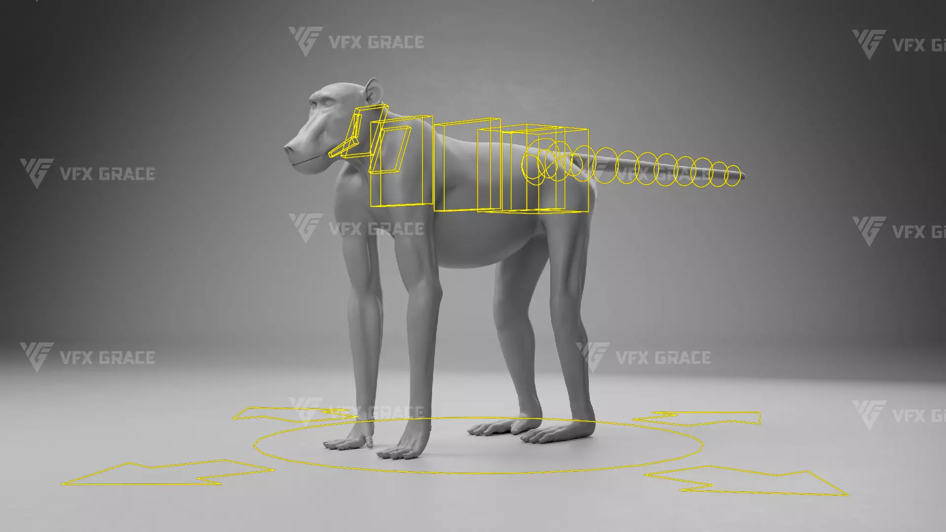 Baboon Animation  Blender 3D Model 3D model_16