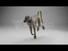 Baboon Animation  Blender 3D Model 3D model_4