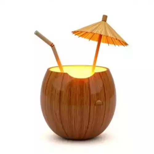 Coconut Cocktail with Bamboo Straw 3D Model Low-poly 3D model