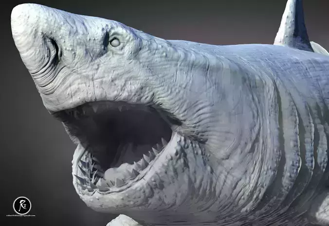 Megalodon 3D print model