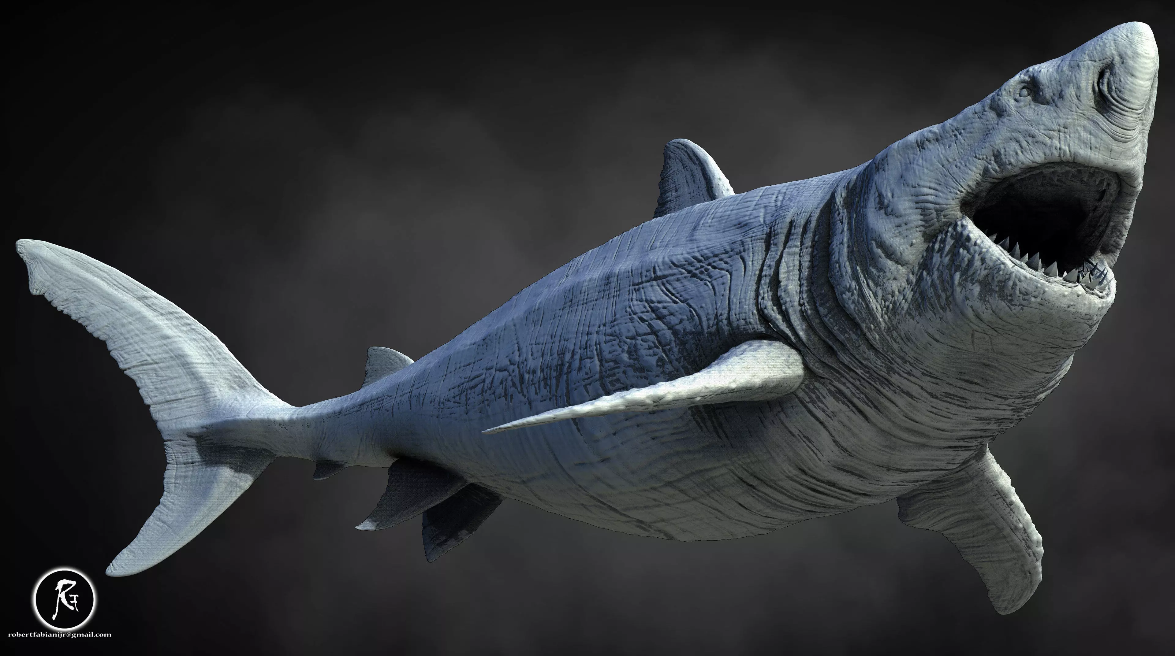 Megalodon 3D print model_3