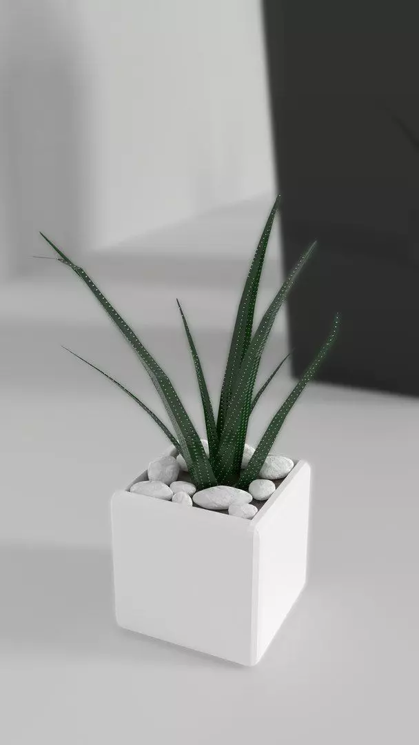 Indoor Decorative Plants Collection 3D model_5