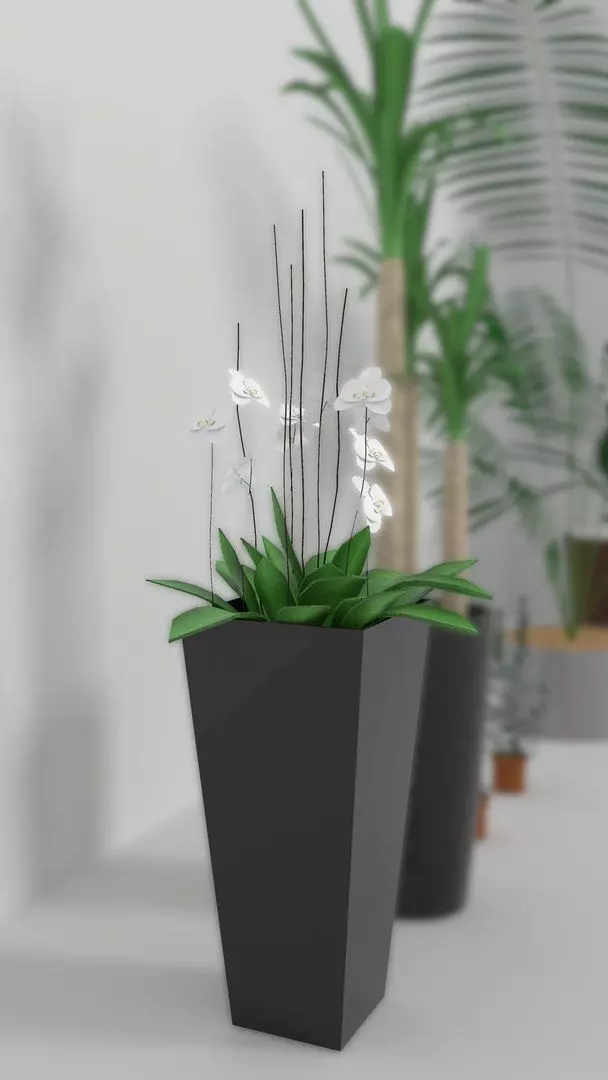 Indoor Decorative Plants Collection 3D model_6