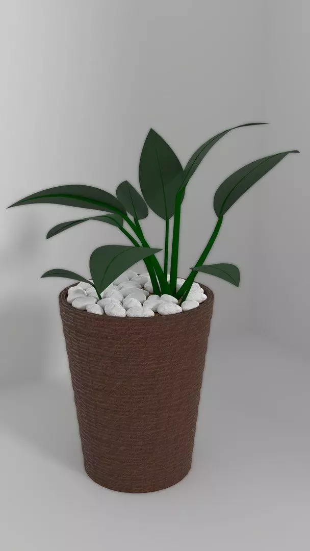 Indoor Decorative Plants Collection 3D model_1