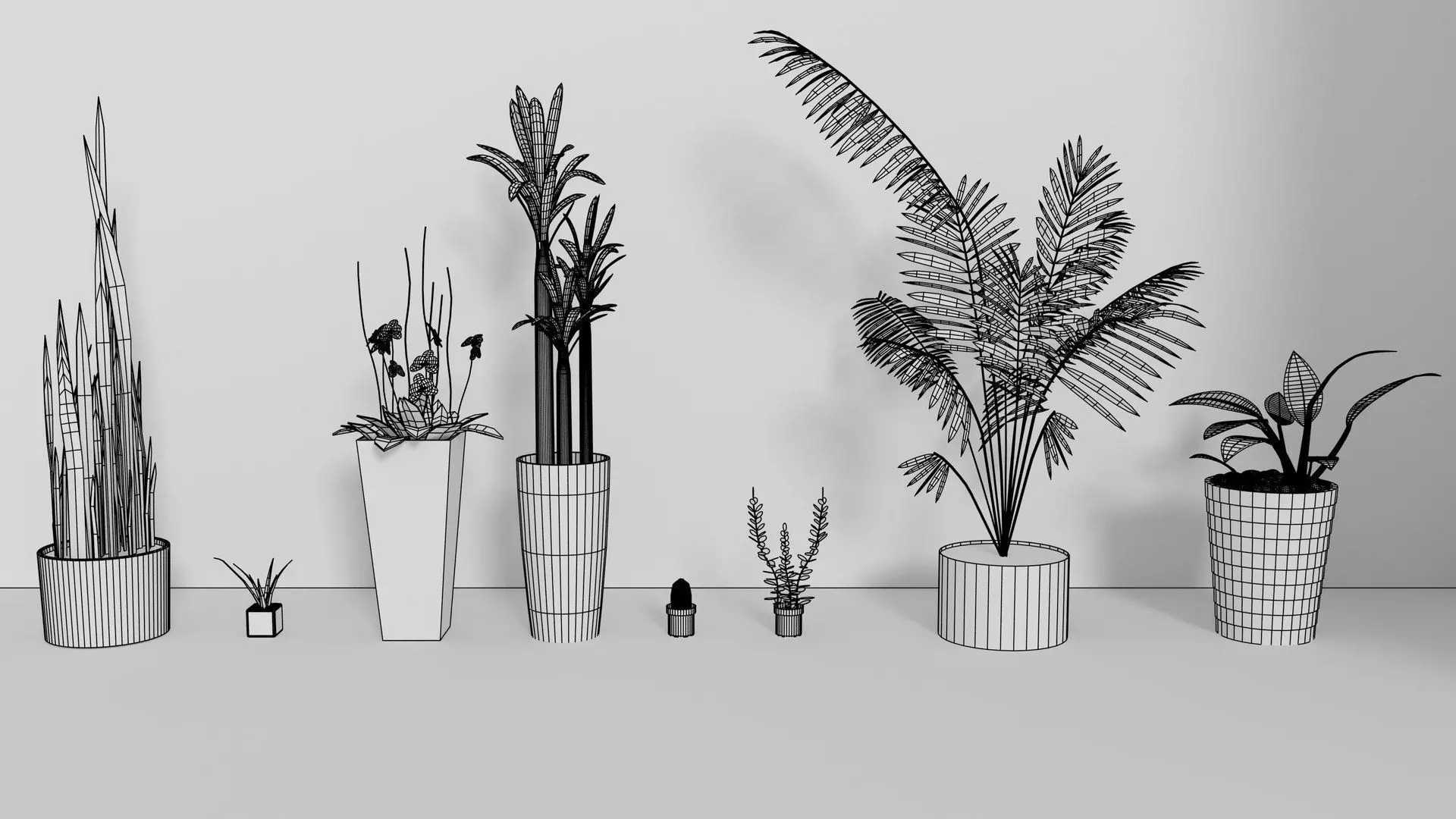 Indoor Decorative Plants Collection 3D model_2