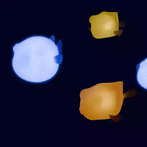 Indirect lighting with pufferfish and boxfish 3D model