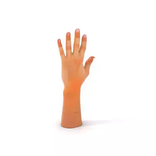 Realistic Human Hand Model Pack with Detailed Fingers Low-poly 3D model