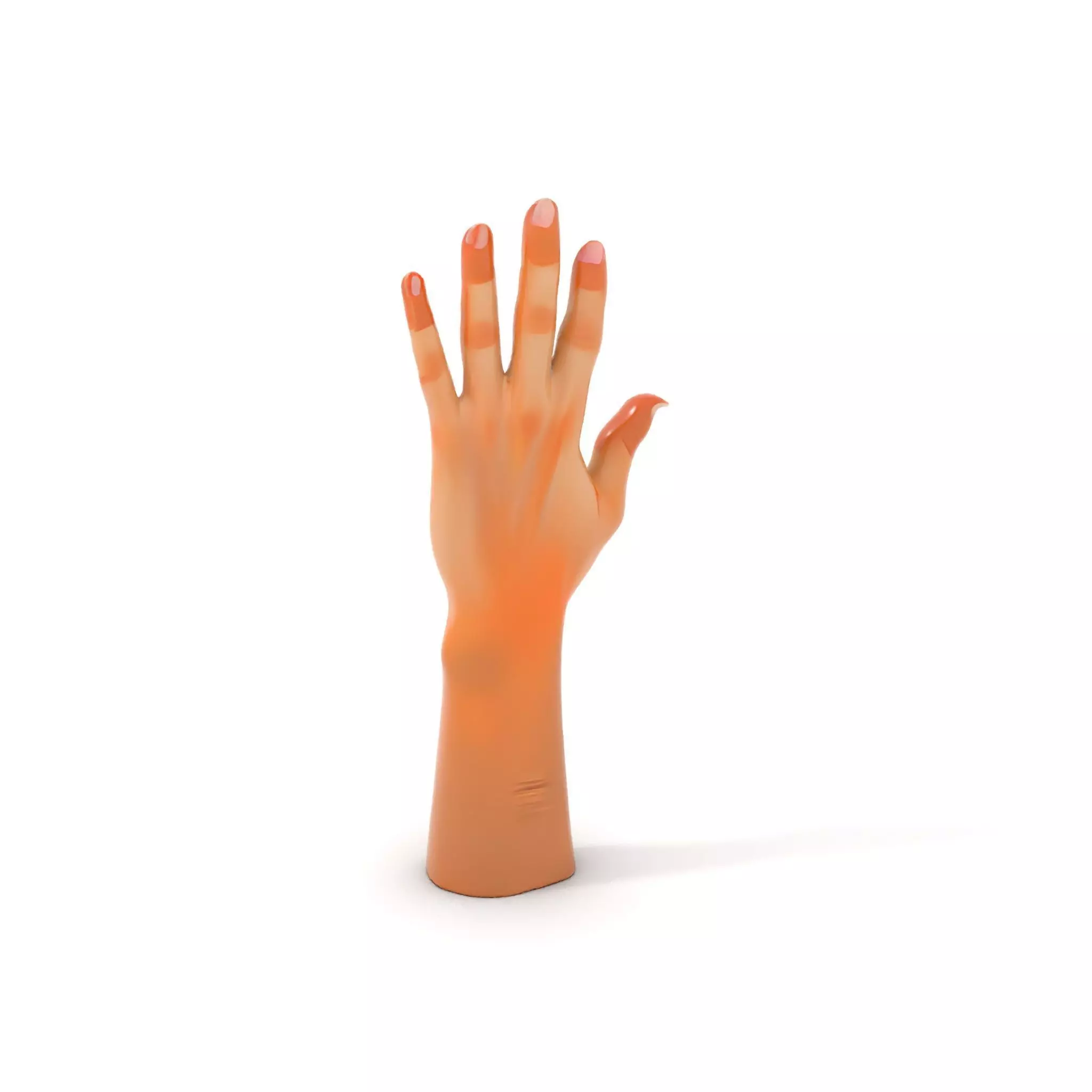 Realistic Human Hand Model Pack with Detailed Fingers Low-poly 3D model_0