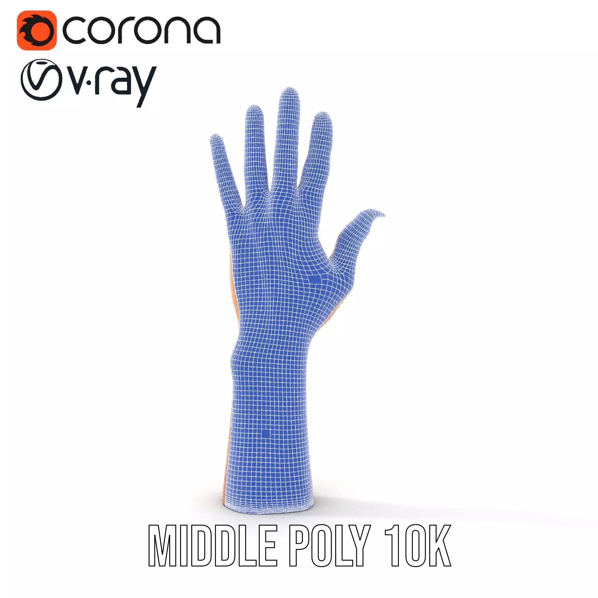 Realistic Human Hand Model Pack with Detailed Fingers Low-poly 3D model_27