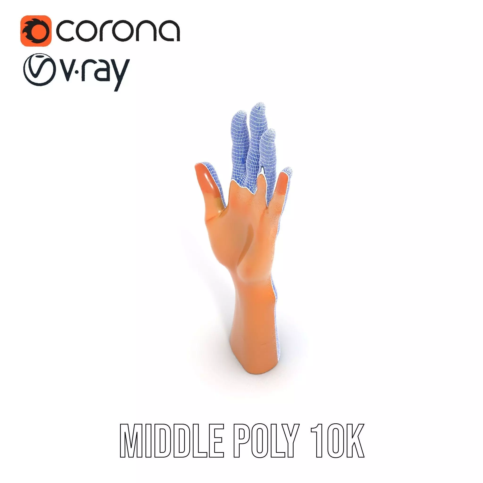 Realistic Human Hand Model Pack with Detailed Fingers Low-poly 3D model_30