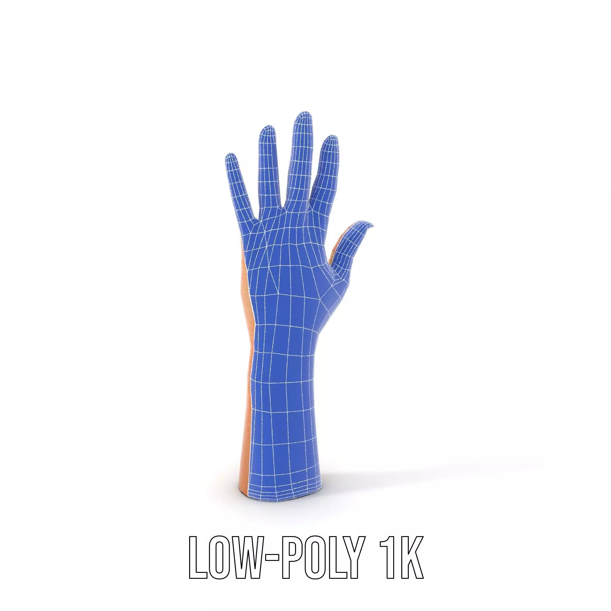 Realistic Human Hand Model Pack with Detailed Fingers Low-poly 3D model_18