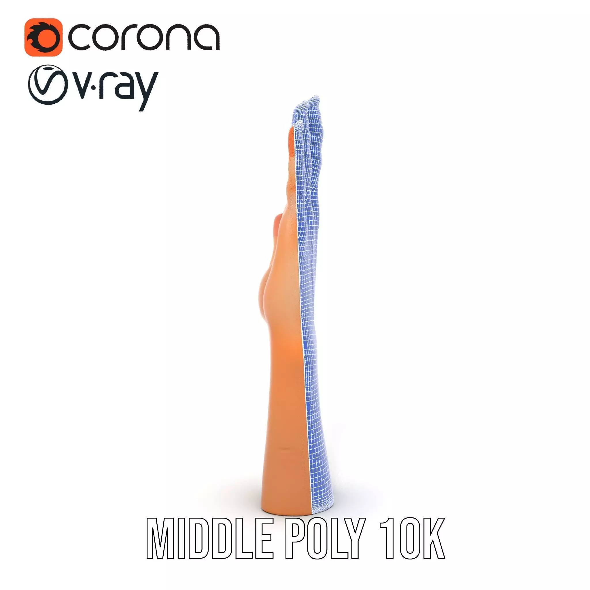 Realistic Human Hand Model Pack with Detailed Fingers Low-poly 3D model_19