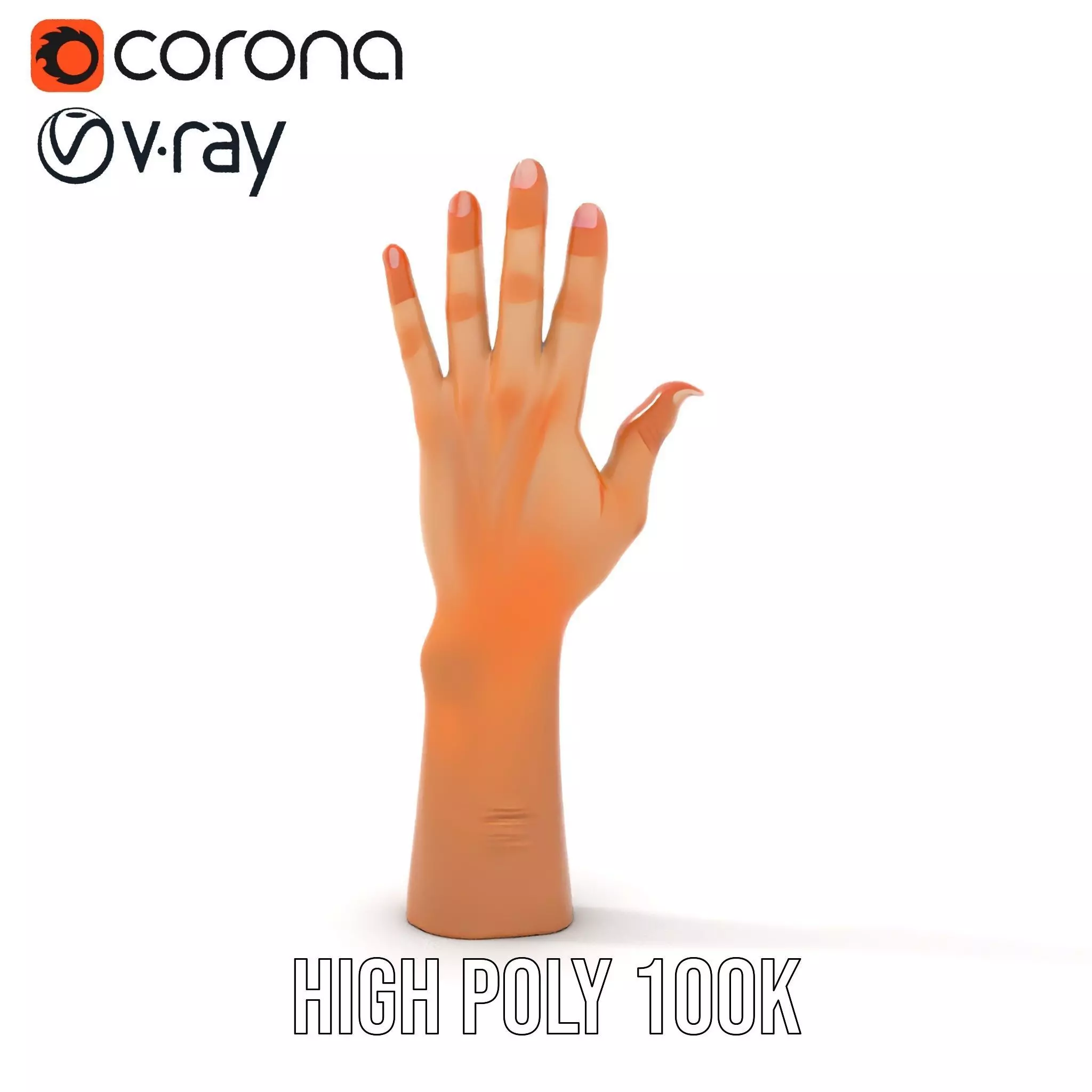 Realistic Human Hand Model Pack with Detailed Fingers Low-poly 3D model_13