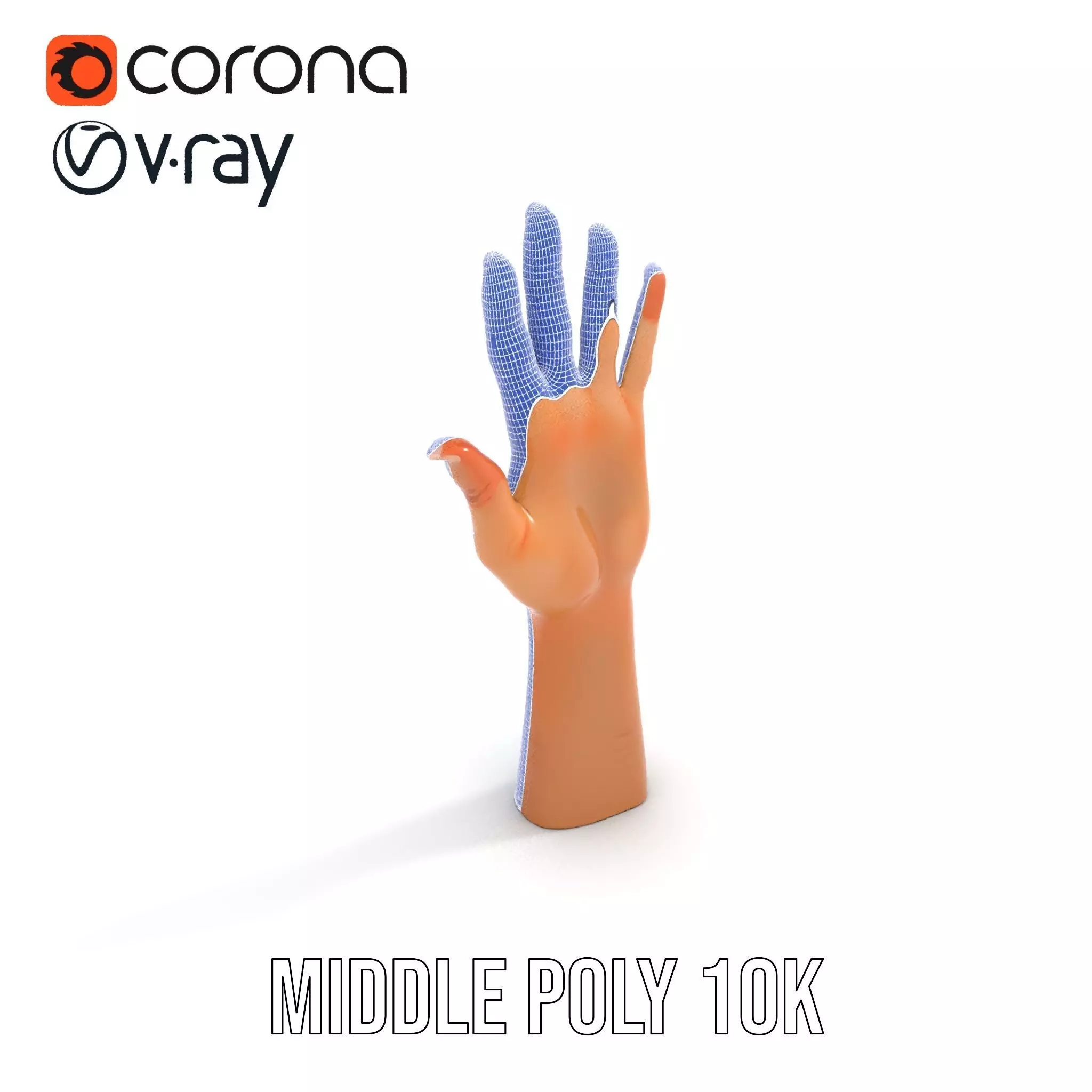Realistic Human Hand Model Pack with Detailed Fingers Low-poly 3D model_25