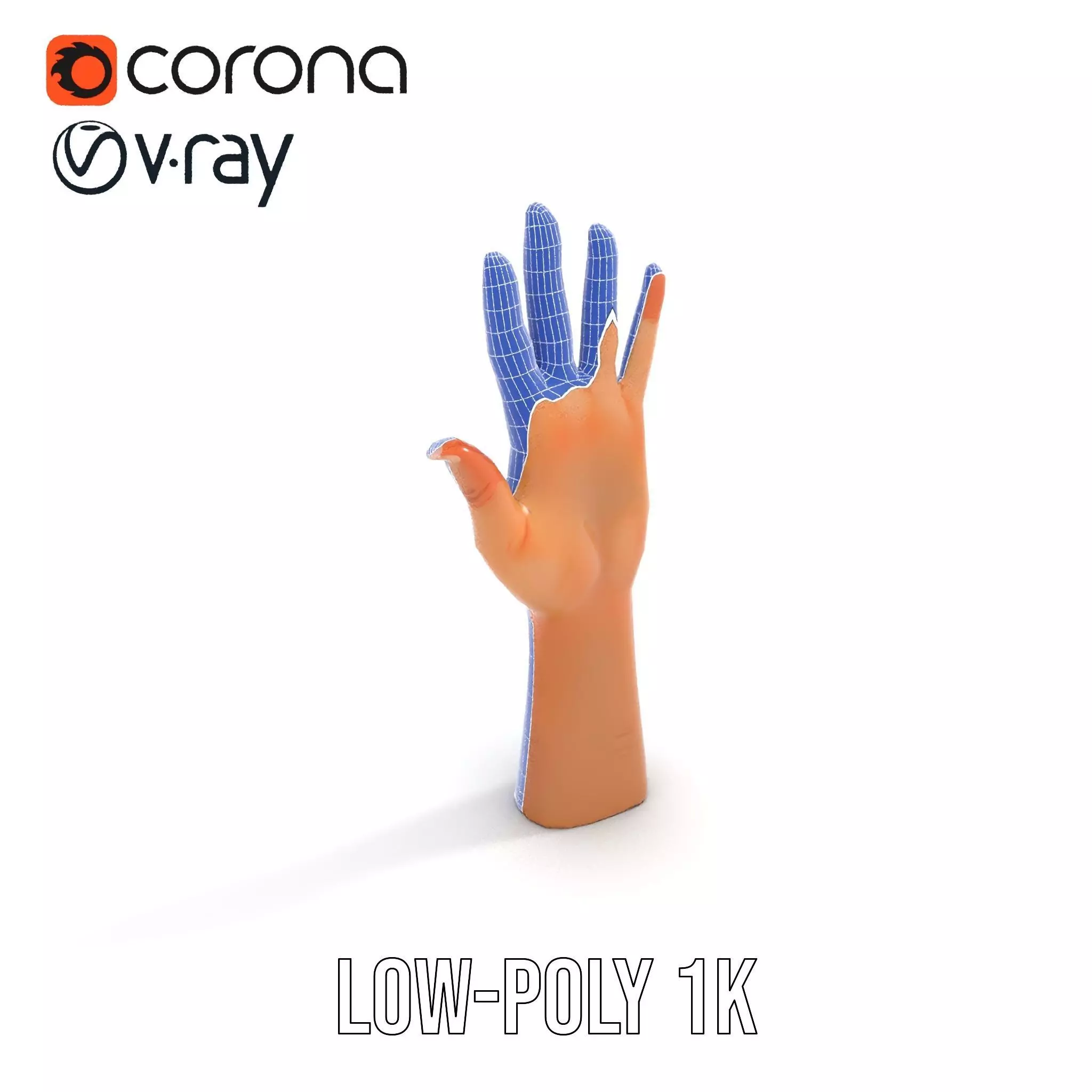 Realistic Human Hand Model Pack with Detailed Fingers Low-poly 3D model_9