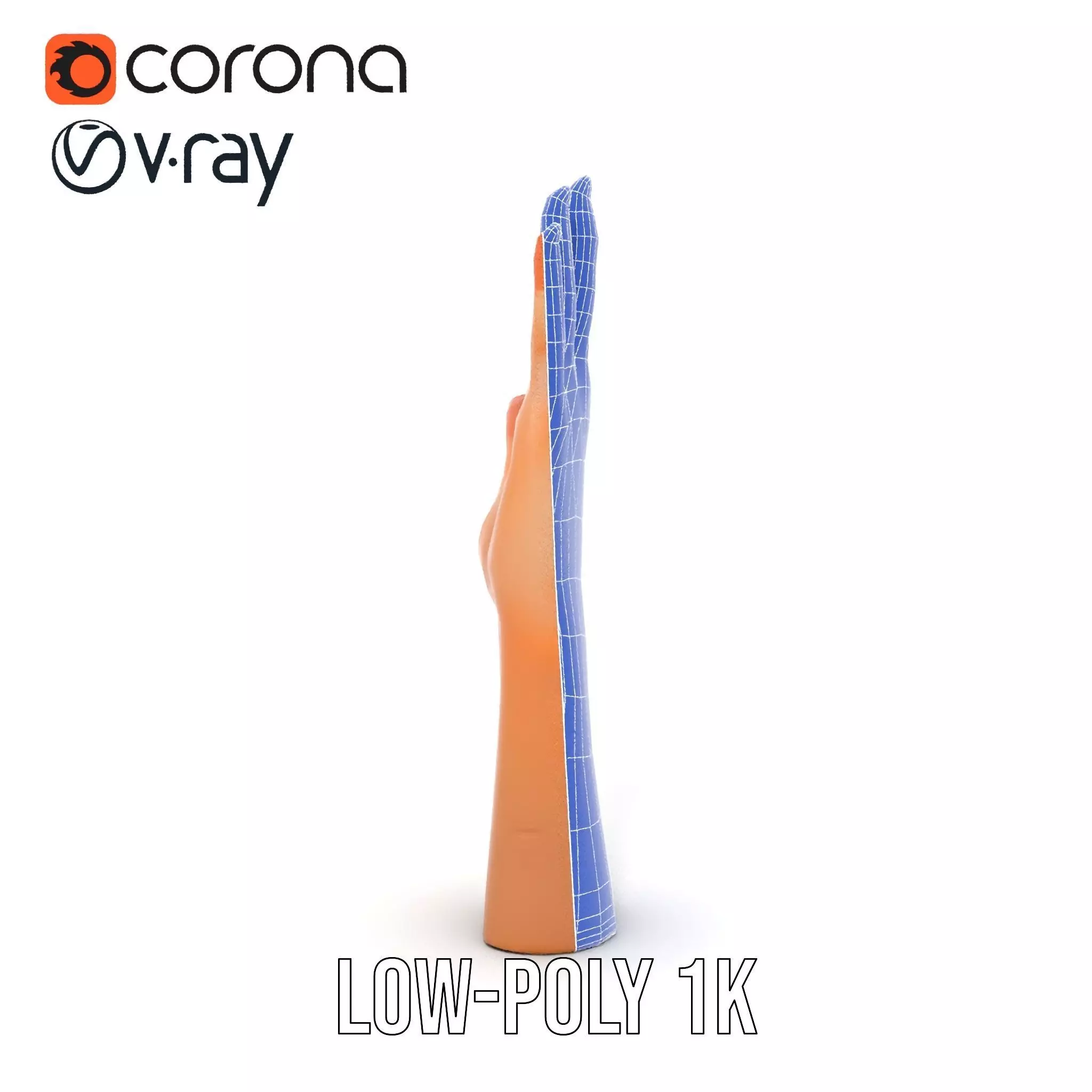 Realistic Human Hand Model Pack with Detailed Fingers Low-poly 3D model_28