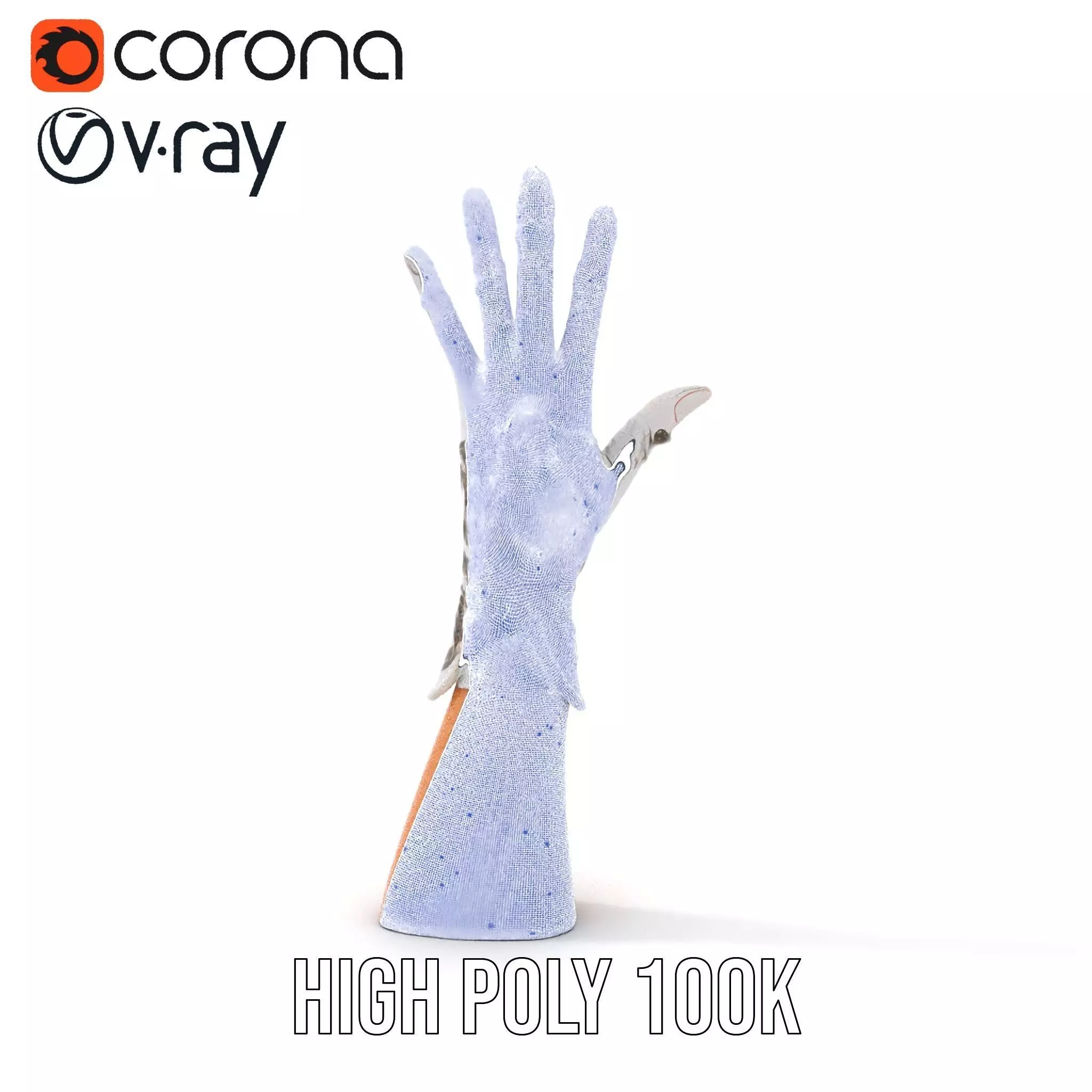 Elegant Embroidered Glove Model Pack Low-poly 3D model_29