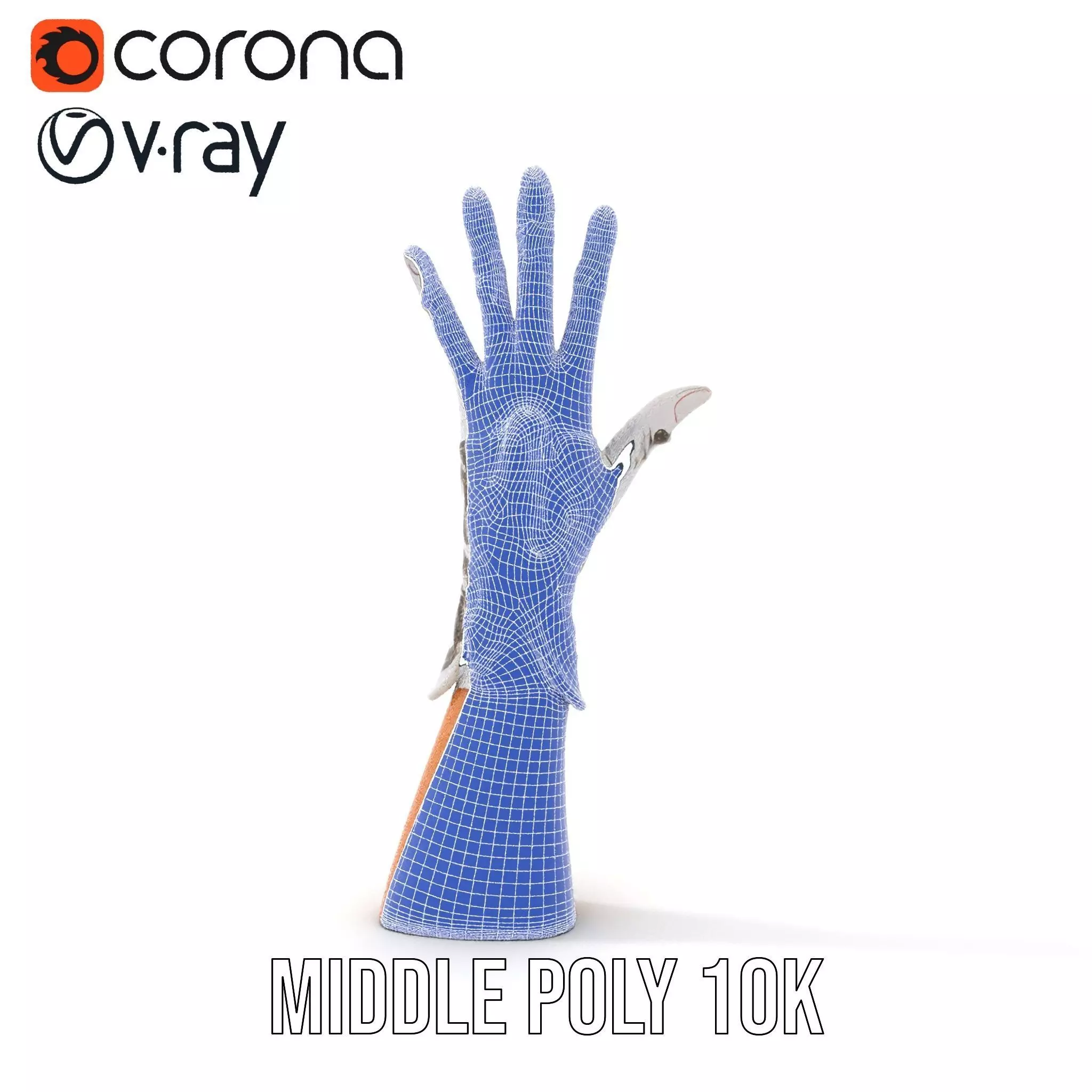 Elegant Embroidered Glove Model Pack Low-poly 3D model_27