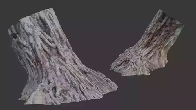  Bare Tree Roots Scan