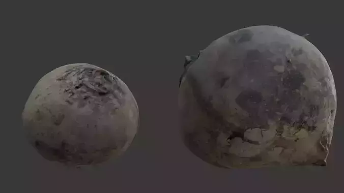  Round Stone Cluster Scan