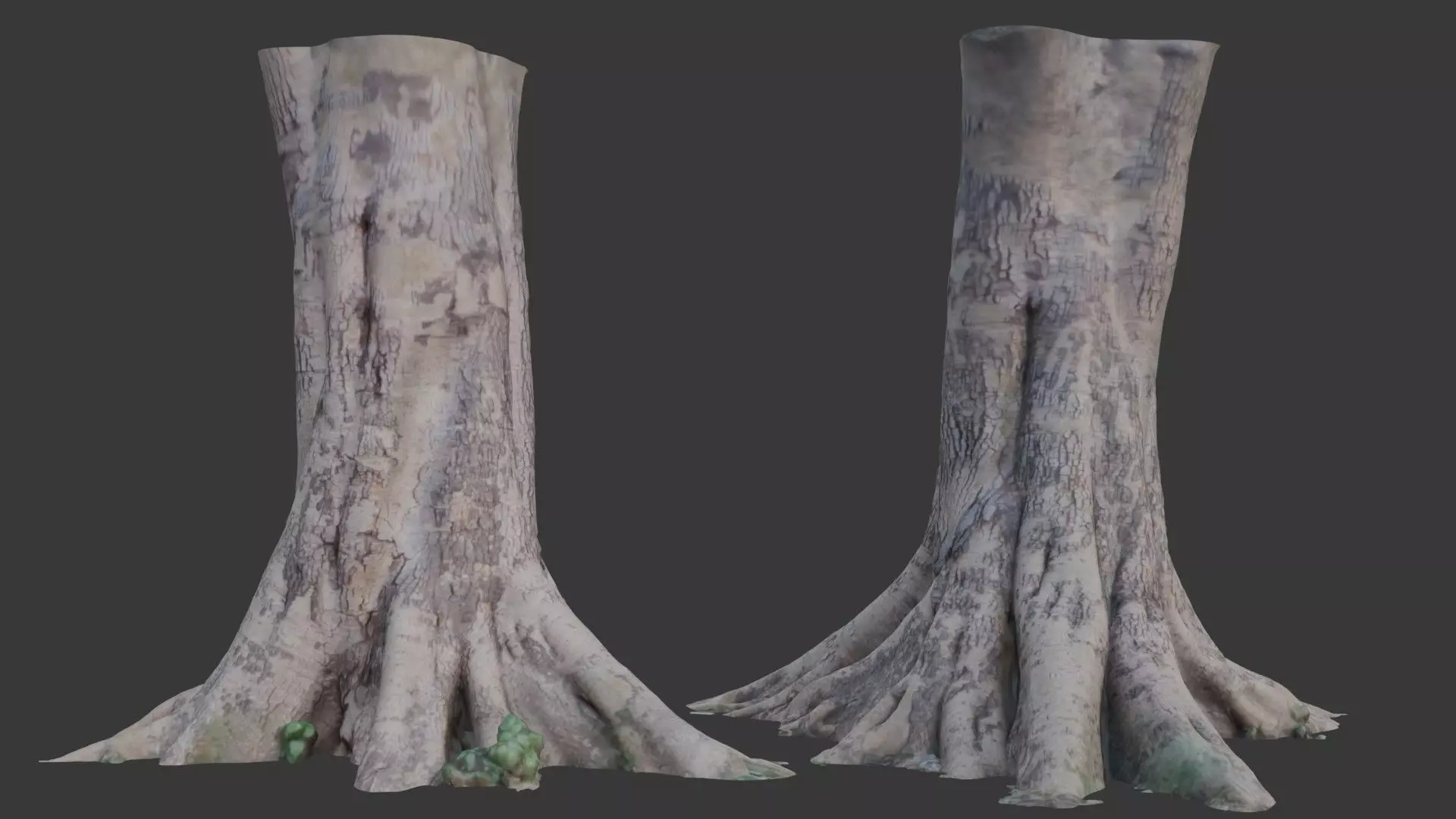 Large Tree Trunk with Roots Scan Low-poly 3D model