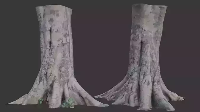  Large Tree Trunk with Roots Scan