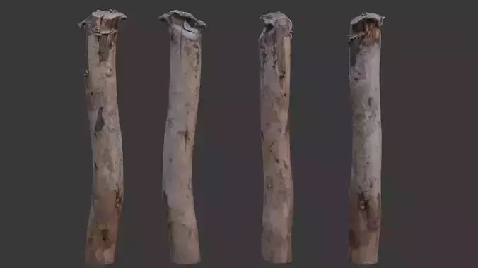  Wooden Fence Post Scan