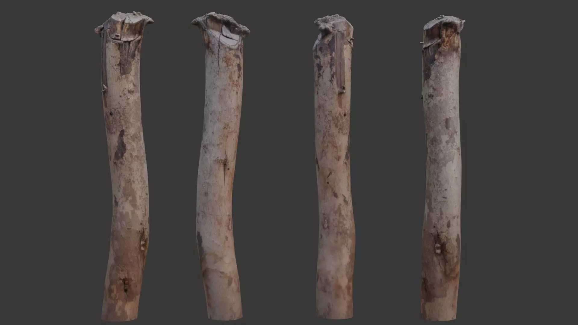 Wooden Fence Post Scan Low-poly 3D model_0