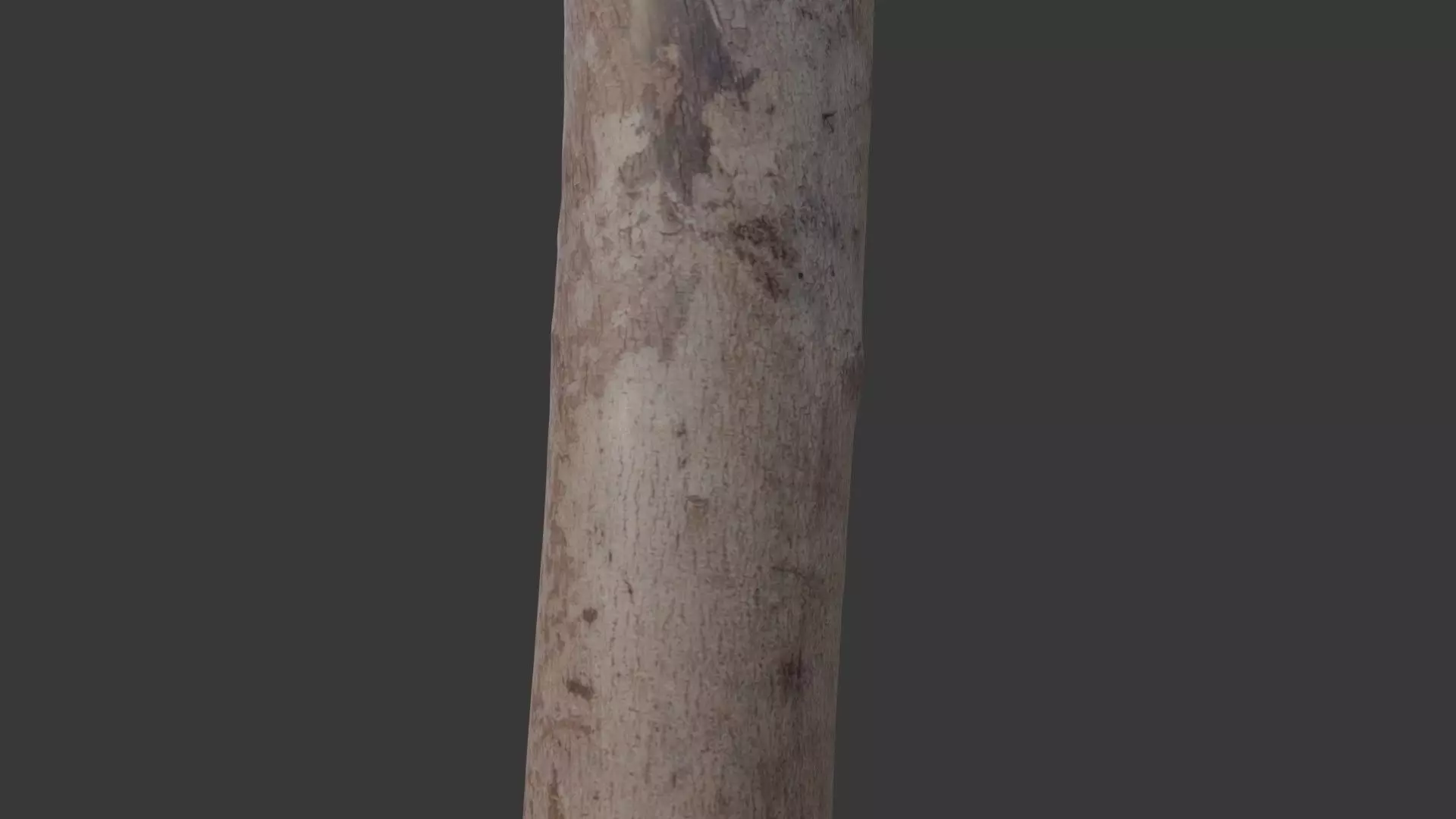 Wooden Fence Post Scan Low-poly 3D model_6